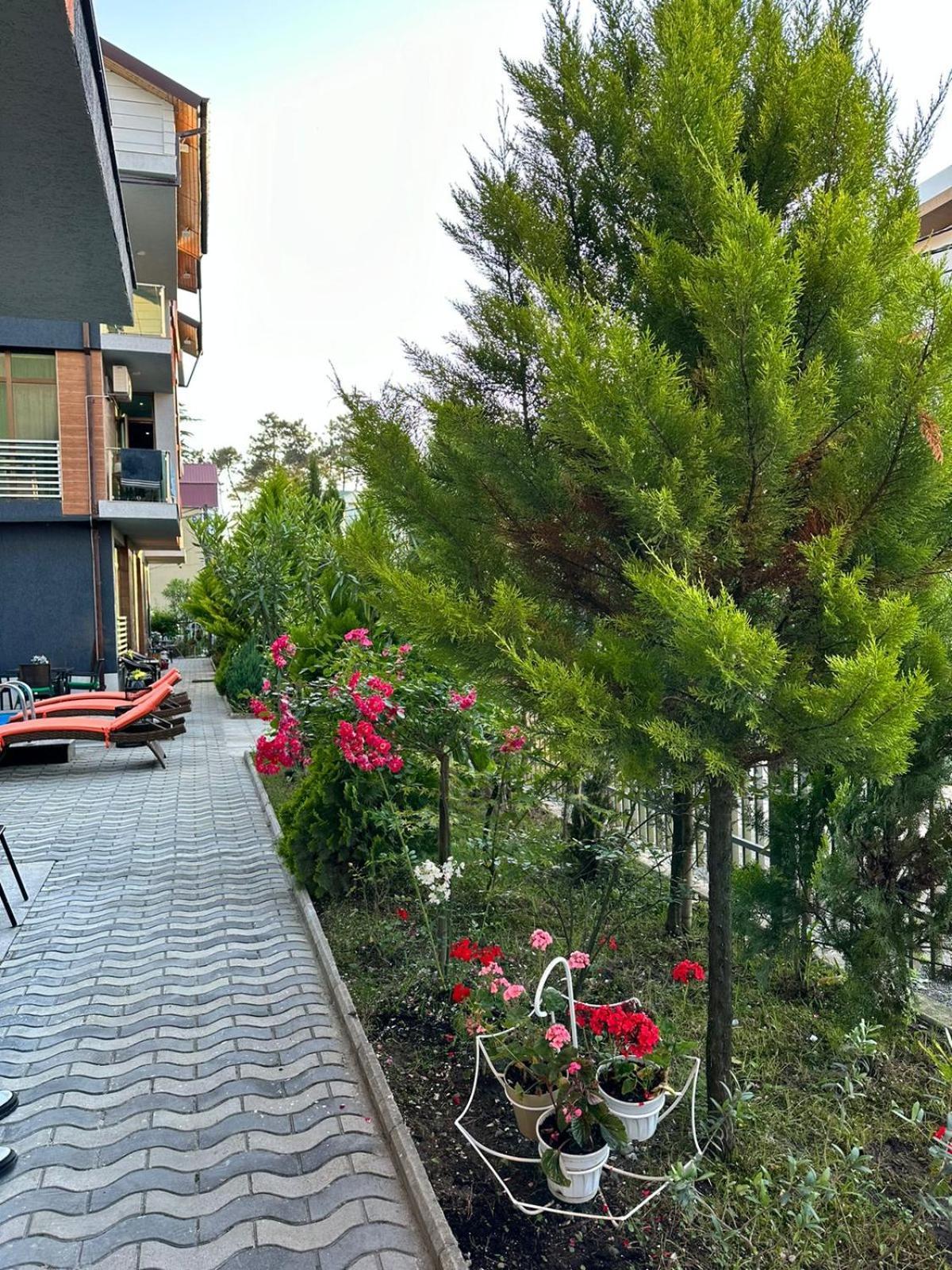 Aparthotel Alfa 乌雷基 外观 照片